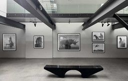 Nick Brandt.jpg - {Nick Brandt.jpg} - [136660]