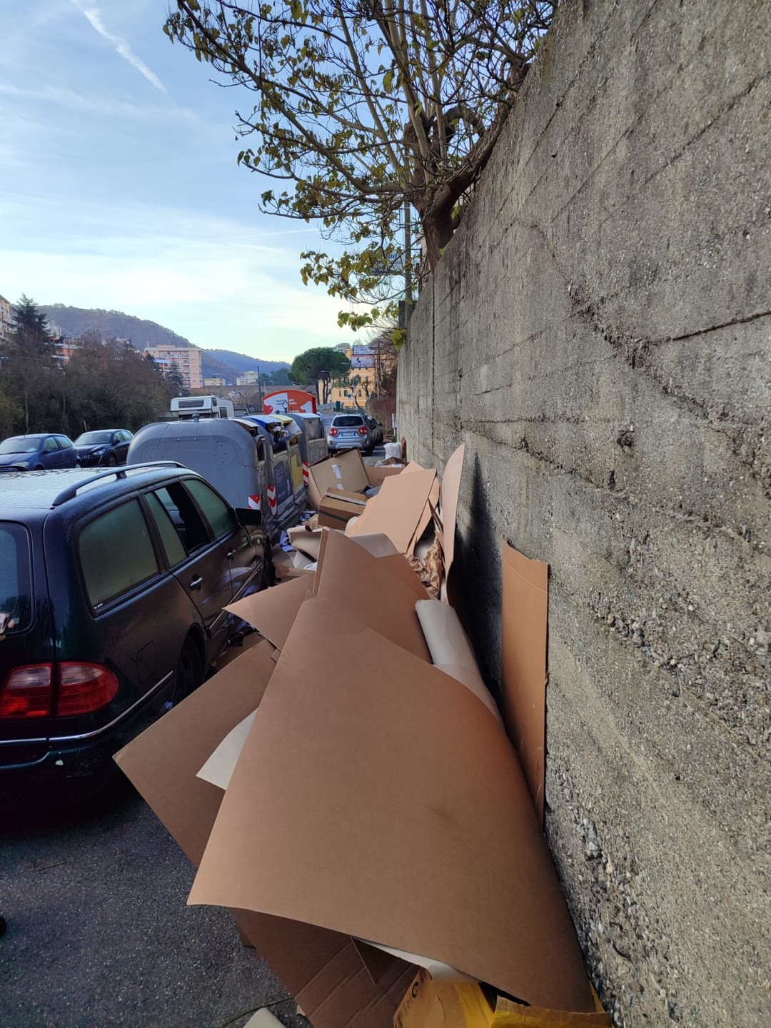 Immagine rifiuti discarica 1.jpg - {Immagine rifiuti discarica 1.jpg} - [137252]