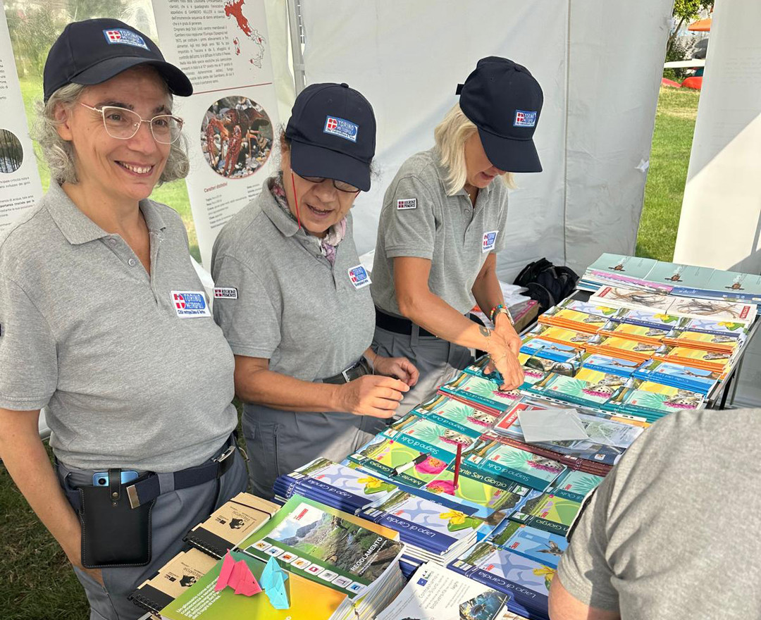 attività_didattiche_GEV_repertorio_1.jpg - {attività_didattiche_GEV_repertorio_1.jpg} - [137388]