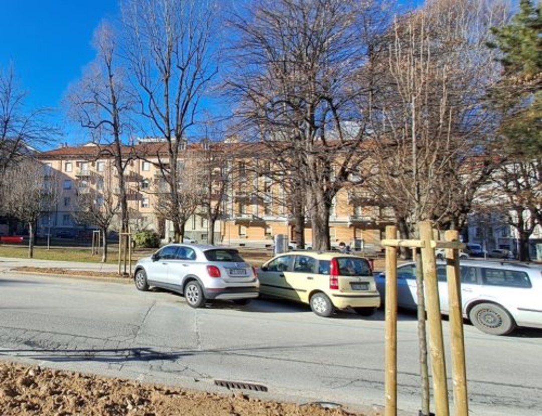 nuove-piante-via-boggio-9-e1767952910646-500x384.jpg - {nuove-piante-via-boggio-9-e1767952910646-500x384.jpg} - [137572]