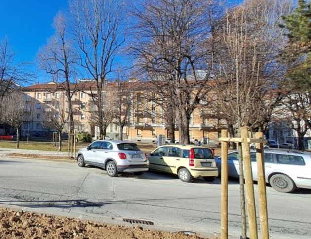 nuove-piante-via-boggio-9-e1767952910646-500x384.jpg - {nuove-piante-via-boggio-9-e1767952910646-500x384.jpg} - [137572]