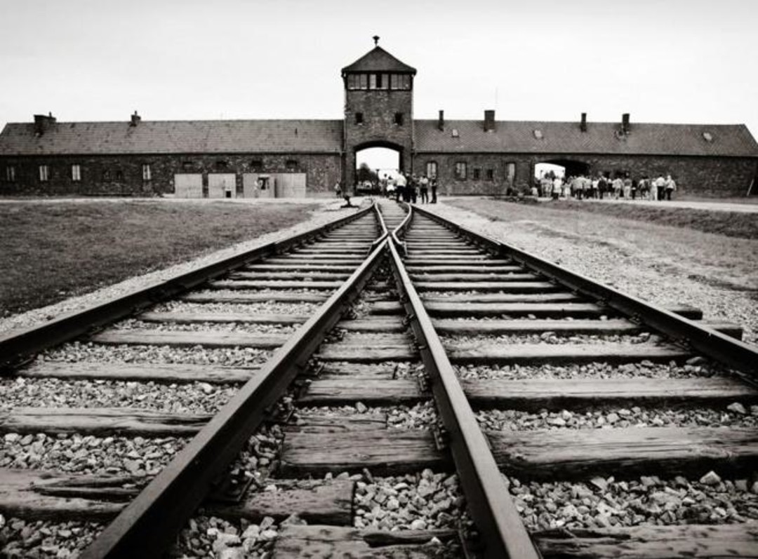 $ROW9V0B.jpg - {$ROW9V0B.jpg} - [137869]