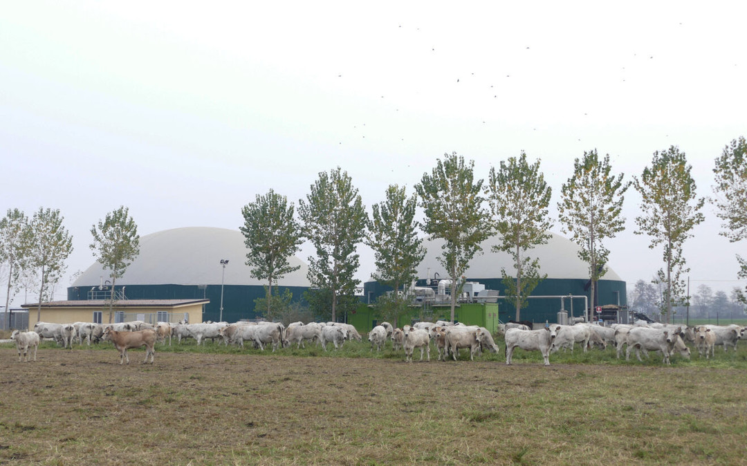 unnamed.jpg - {unnamed.jpg} - [138037]