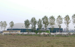 unnamed.jpg - {unnamed.jpg} - [138037]