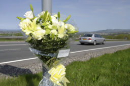 Immagine-per-vittime-della-strada-e1763118362120.png - {Immagine-per-vittime-della-strada-e1763118362120.png} - [138109]