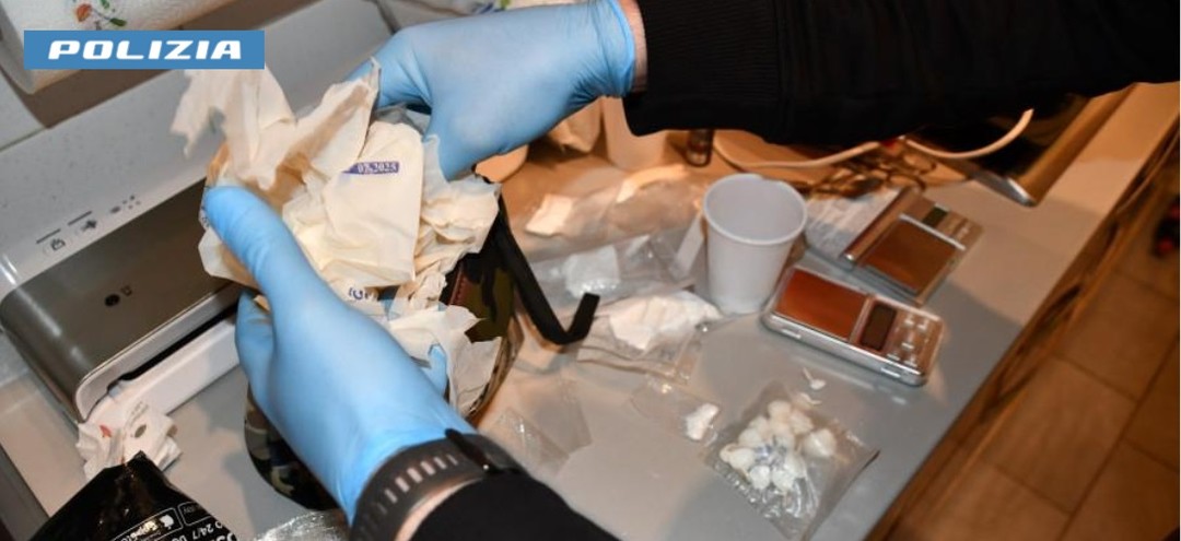 rinvenimento-stupefacenti-per-sito.jpg - {rinvenimento-stupefacenti-per-sito.jpg} - [138117]