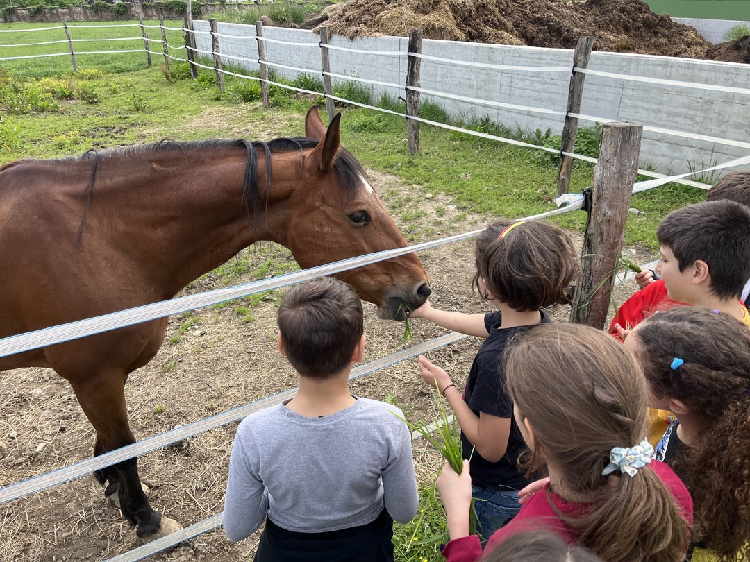 giornata prevenzione veterinaria.jpg - {giornata prevenzione veterinaria.jpg} - [138357]