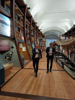 3.jpeg - {3.jpeg} - [138381]