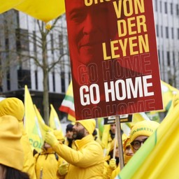 Immagine strasburgo-branda-1024x1024.jpg - {Immagine strasburgo-branda-1024x1024.jpg} - [138413]