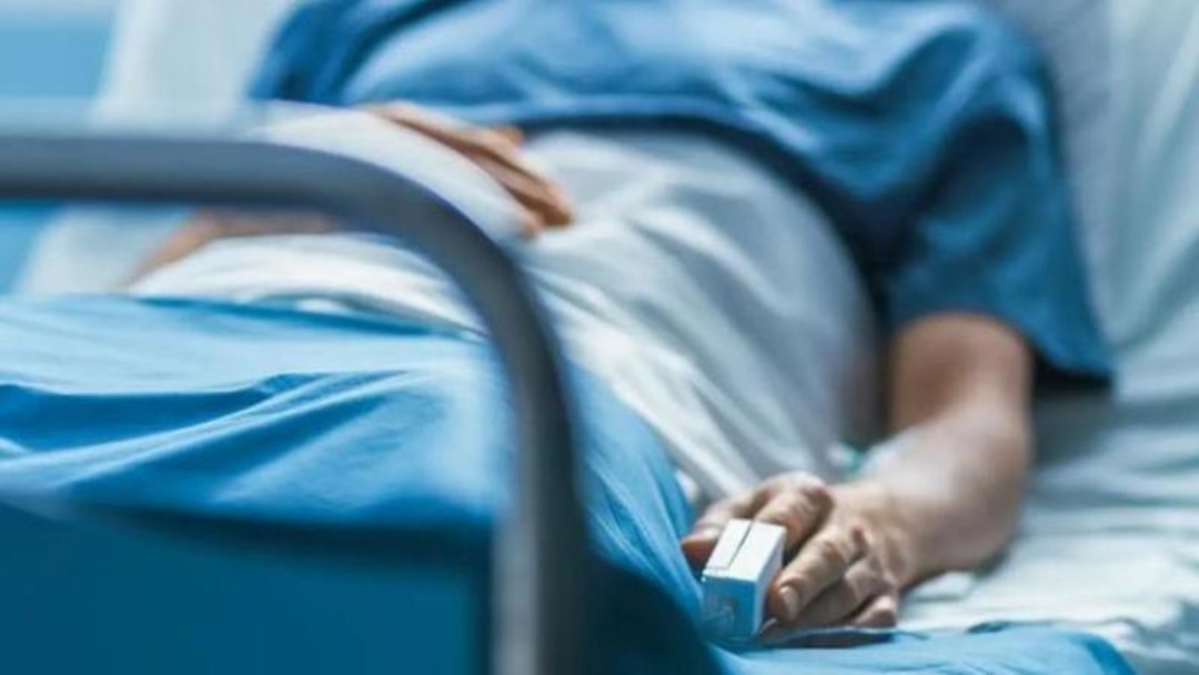 FineVita.jpg - {FineVita.jpg} - [138493]