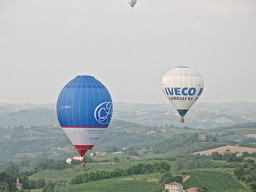 Immagine IMG_0020.jpg - {Immagine IMG_0020.jpg} - [138557]