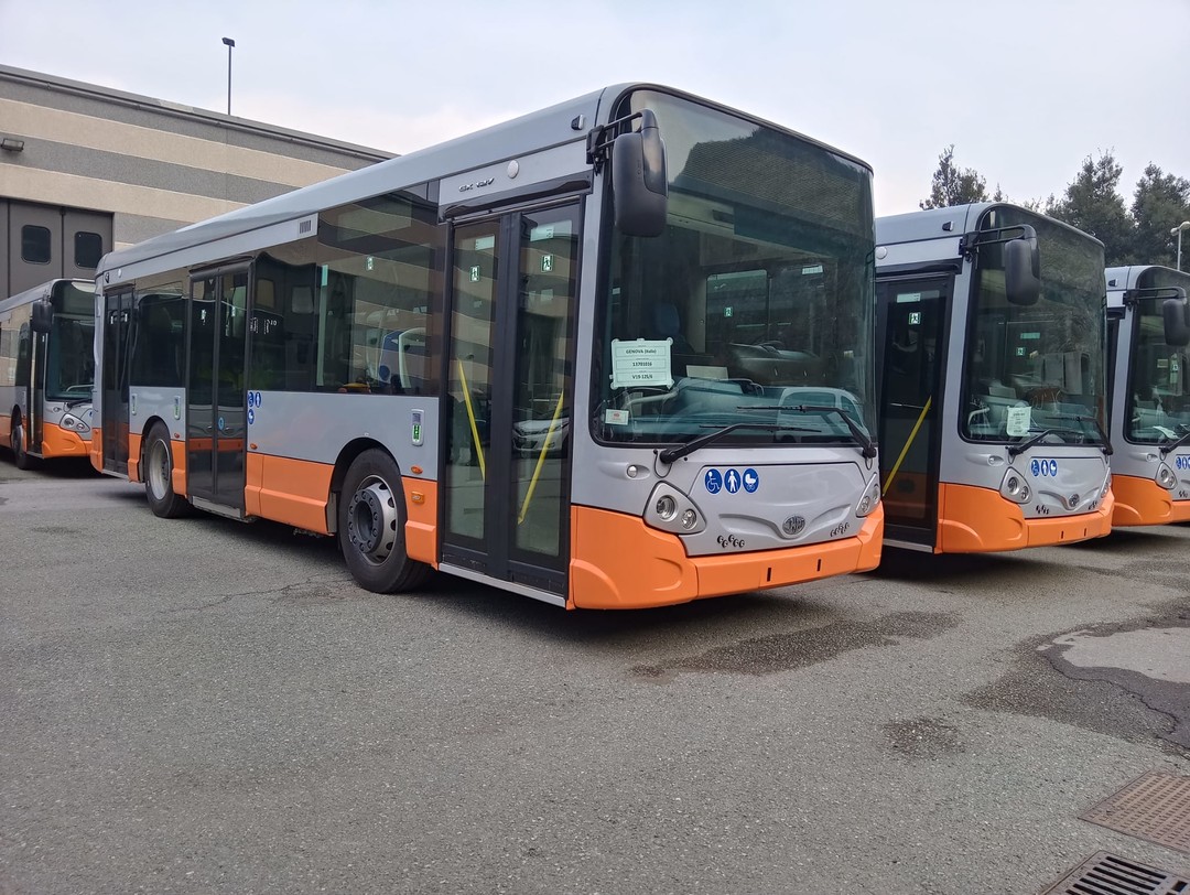 bus amt.jpg - {bus amt.jpg} - [138773]