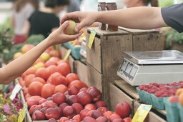 apples-1841132_1280.jpg - {apples-1841132_1280.jpg} - [13883]