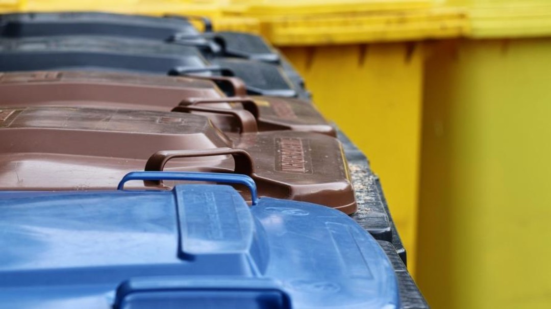 Foto raccolta dei rifiuti.jpg - {Foto raccolta dei rifiuti.jpg} - [138981]