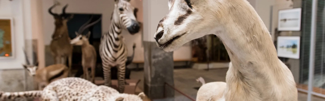 $R0BCKK6.jpg - {$R0BCKK6.jpg} - [139261]