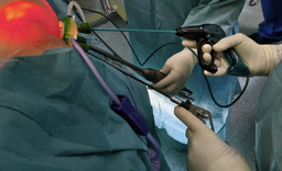 $RV38ARV.jpg - {$RV38ARV.jpg} - [139373]