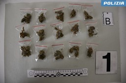 $RD5G8O5.jpg - {$RD5G8O5.jpg} - [139381]