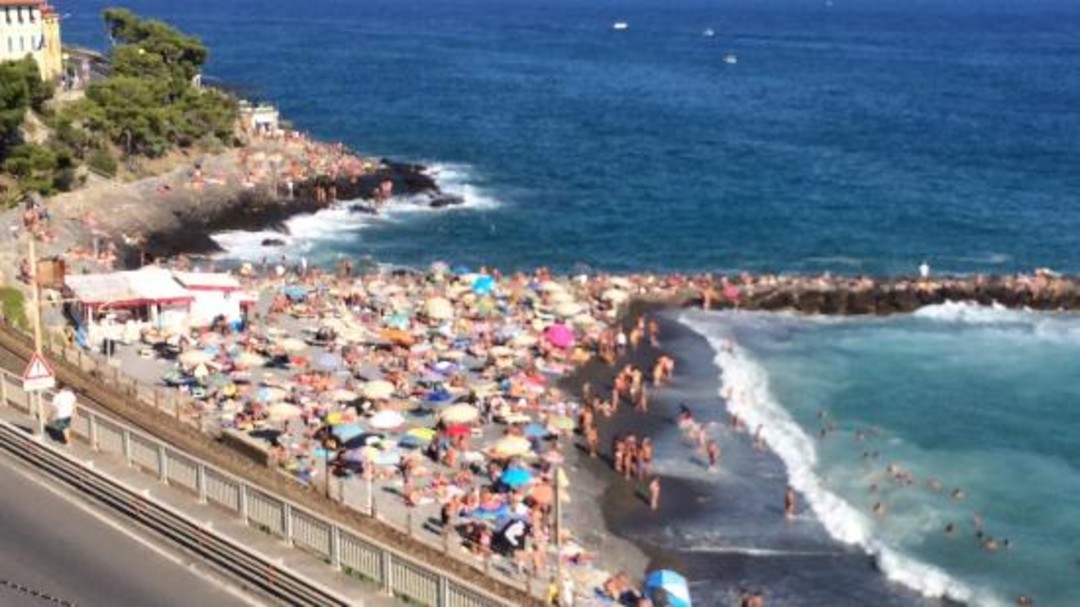 cervo spiaggia.jpg - {cervo spiaggia.jpg} - [13955]