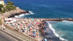 cervo spiaggia.jpg - {cervo spiaggia.jpg} - [13955]
