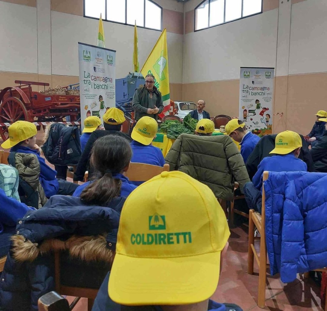 $RTR4WL1.jpg - {$RTR4WL1.jpg} - [139621]