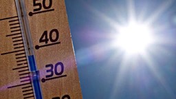 caldo-temperature.jpg - {caldo-temperature.jpg} - [13989]