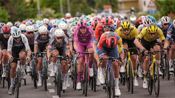 rzcdzdwreso6qk8stlrq.jpg - {rzcdzdwreso6qk8stlrq.jpg} - [140053]