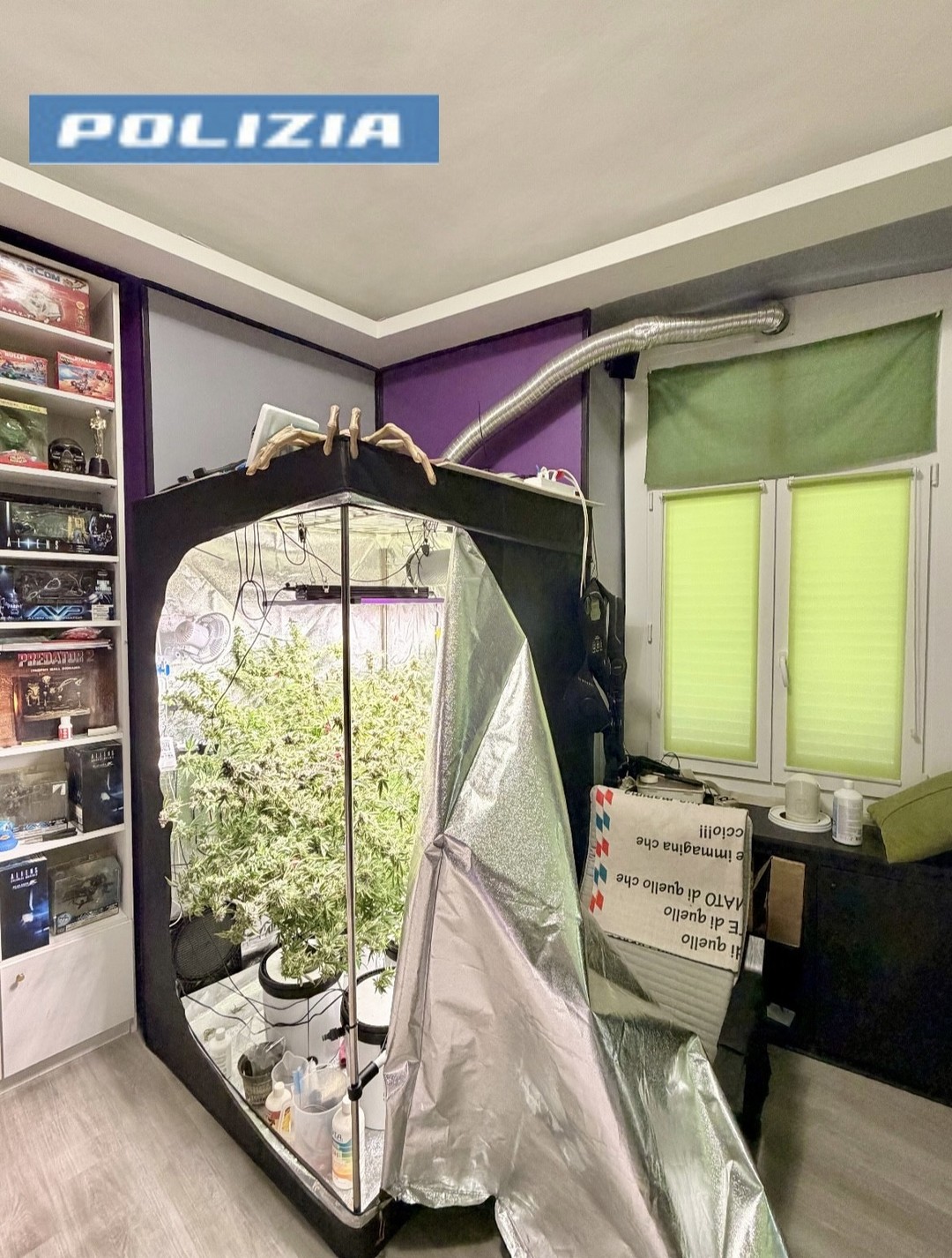 foto serra droga.jfif - {foto serra droga.jfif} - [140341]