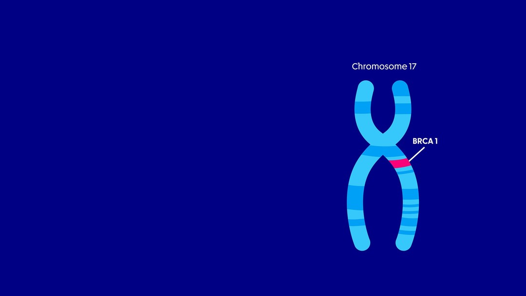 Brca.jpg - {Brca.jpg} - [140573]