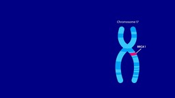 Brca.jpg - {Brca.jpg} - [140573]