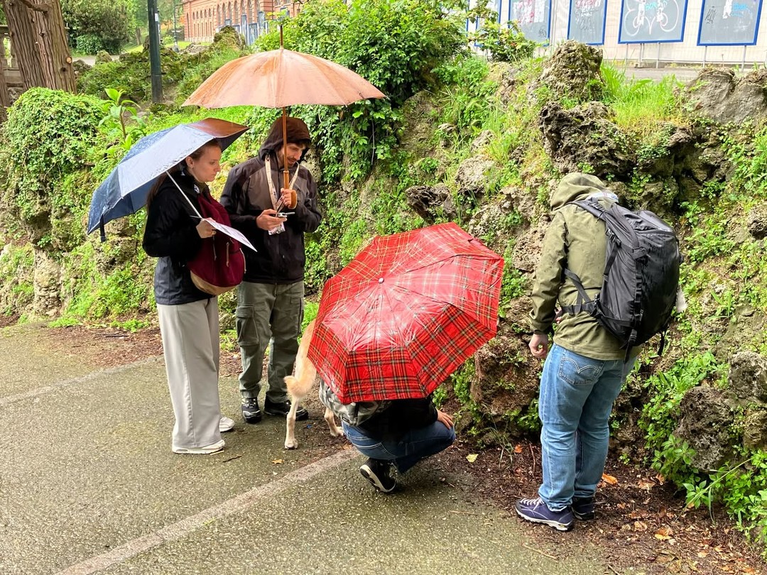 CityNatureChallenge.jpg - {CityNatureChallenge.jpg} - [141550]