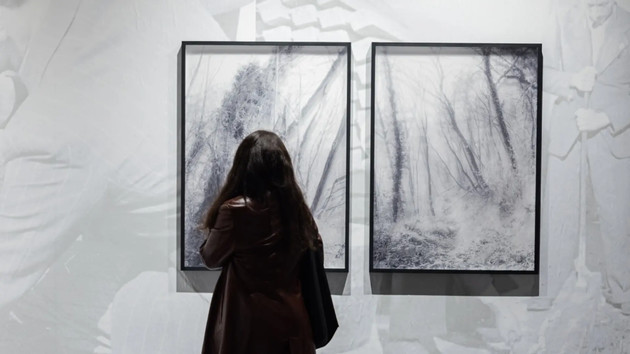 ExposedTorino.jpg - {ExposedTorino.jpg} - [141607]