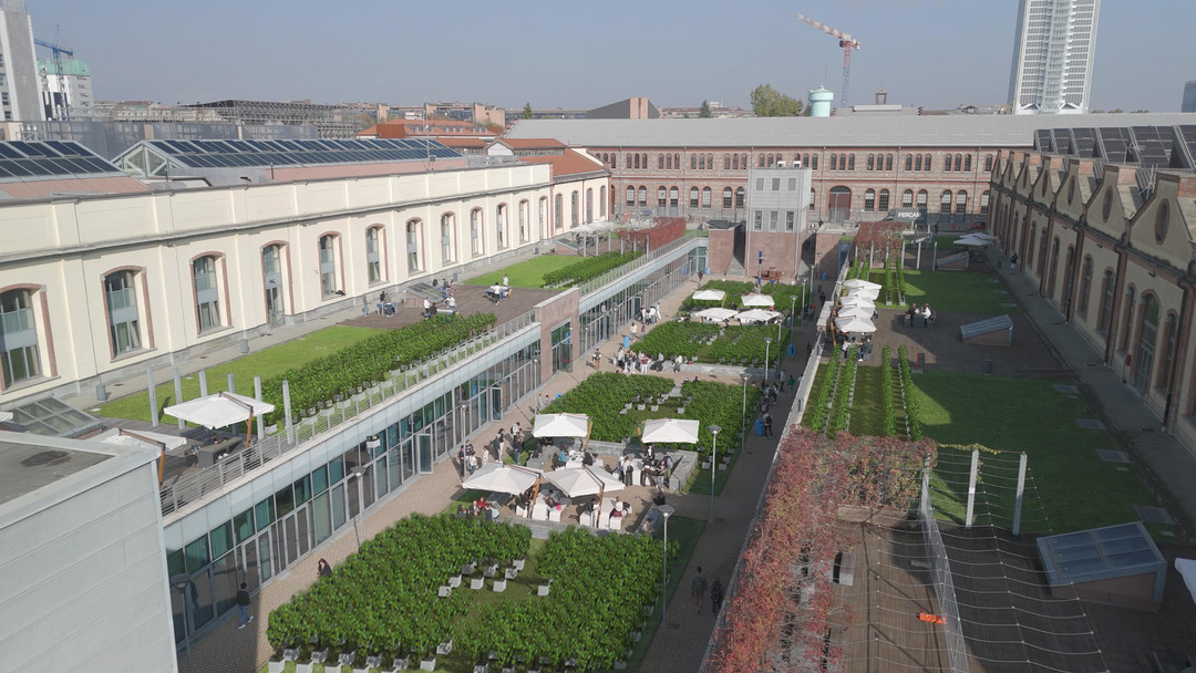 Campus-Grapes-copertina.jpg - {Campus-Grapes-copertina.jpg} - [141720]