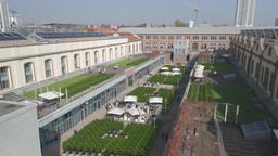 Campus-Grapes-copertina.jpg - {Campus-Grapes-copertina.jpg} - [141720]