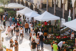 Foto fiera mercato.jpg - {Foto fiera mercato.jpg} - [141880]