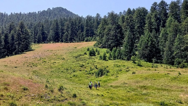 Foto verde montagna olimpica campagna.jpg - {Foto verde montagna olimpica campagna.jpg} - [142280]