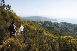 Trail.jpg - {Trail.jpg} - [142432]