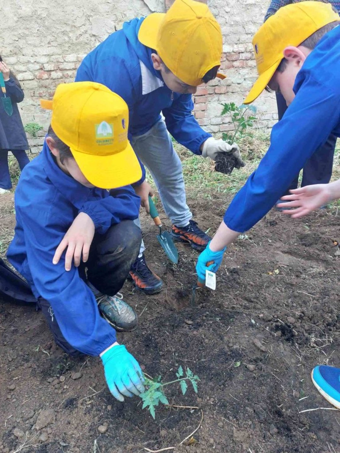 Campagna Amica.jpg - {Campagna Amica.jpg} - [142512]