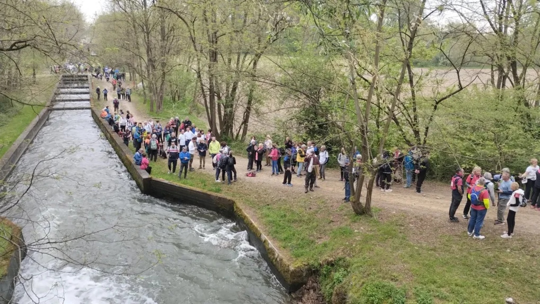 Giornata dei CamminatoriBiella(3605181).png - {Giornata dei CamminatoriBiella(3605181).png} - [142536]