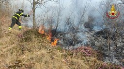 IncendioCuorgne.jpg - {IncendioCuorgne.jpg} - [143184]