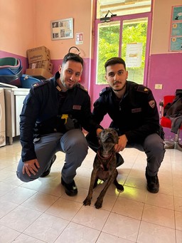 Polizia di Stato Alessandria.jpg - {Polizia di Stato Alessandria.jpg} - [143448]