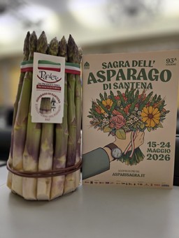 Foto asparago Santena.jpeg - {Foto asparago Santena.jpeg} - [143616]