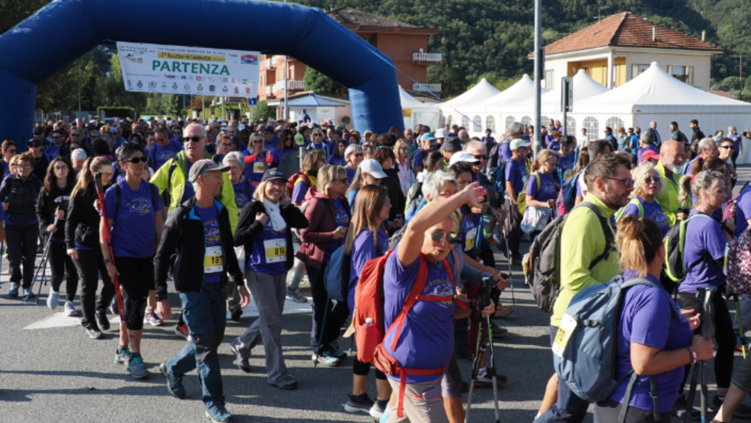 Foto Marathon via Francigena.png - {Foto Marathon via Francigena.png} - [144187]
