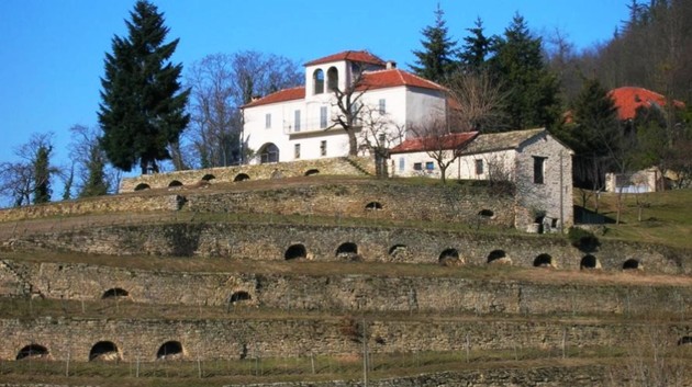 Foto terrazzamenti.jpg - {Foto terrazzamenti.jpg} - [144259]