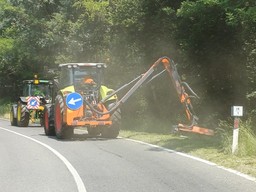 Foto lavoro taglio erba.jpeg - {Foto lavoro taglio erba.jpeg} - [144691]