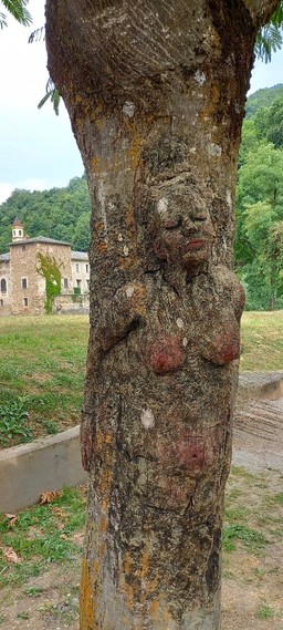 mONTEROSSO gRANA.jpg - {mONTEROSSO gRANA.jpg} - [145236]