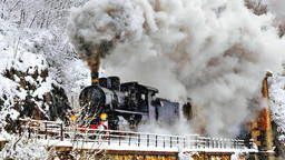 Treno Ormea.jpg - {Treno Ormea.jpg} - [145268]