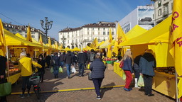 Foto mercato Coldiretti.jpg - {Foto mercato Coldiretti.jpg} - [145372]