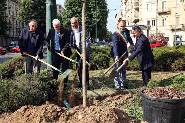 TorinoPiannutmaAlberi.jpeg - {TorinoPiannutmaAlberi.jpeg} - [145540]