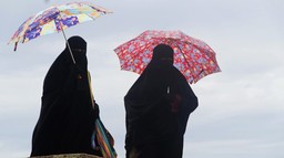 Immagine jusch-burka-1003353.jpg - {Immagine jusch-burka-1003353.jpg} - [146071]