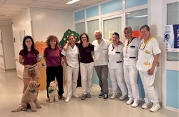 Mia, Gummy e Chico, i cani coinvolti nel progetto di Pet Therapy.jpg - {Mia, Gummy e Chico, i cani coinvolti nel progetto di Pet Therapy.jpg} - [146255]